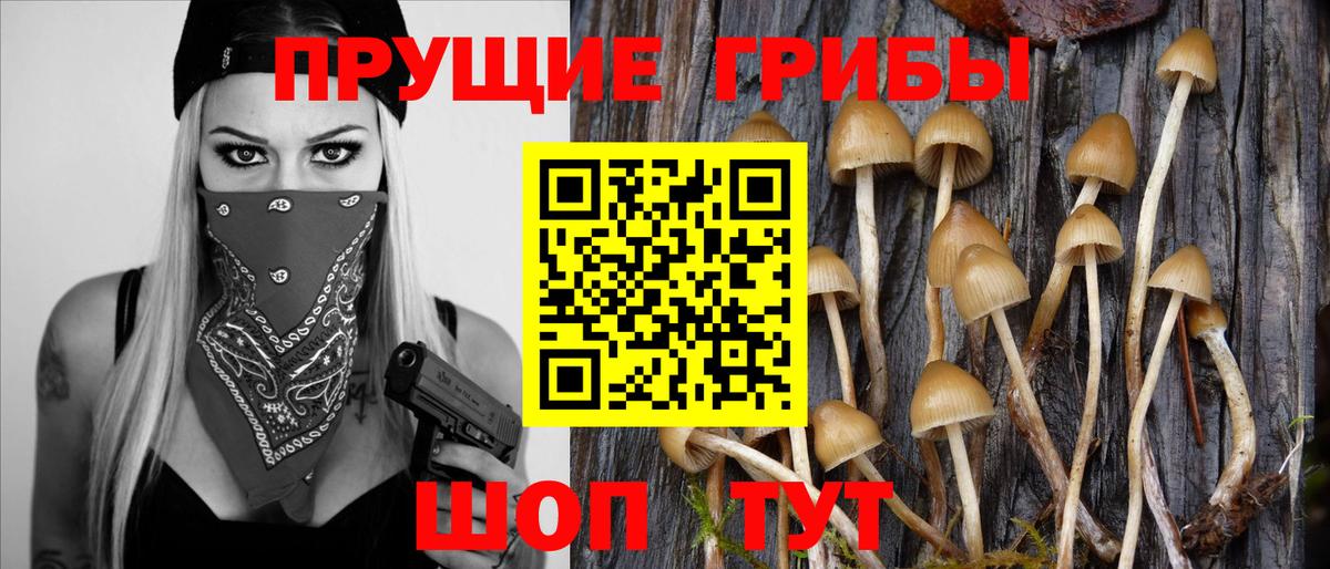 Псилоцибиновые грибы Magic Shrooms Родники